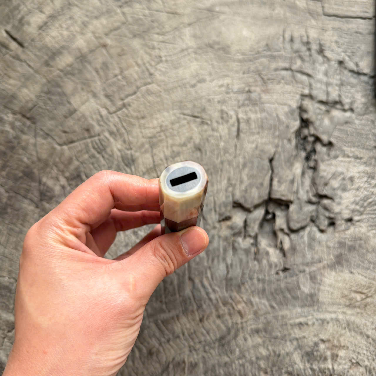 I- 5 Grained Black African wa handle , Cream Horn Ferrule - 135mm