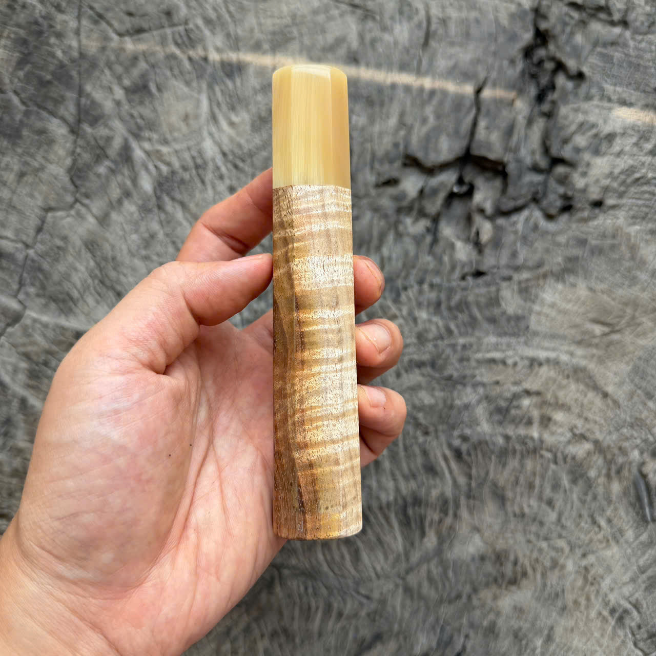 I -  3 Two tone Curly Hawaiian Koa, Clean Cream horn ferrule, 140mm