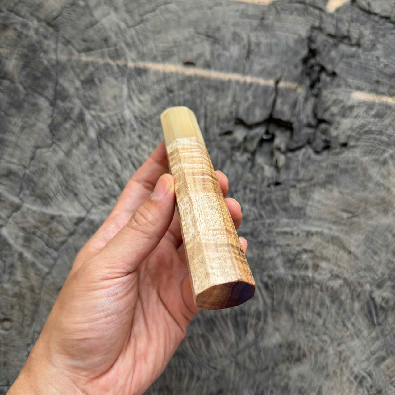 I -  3 Two tone Curly Hawaiian Koa, Clean Cream horn ferrule, 140mm