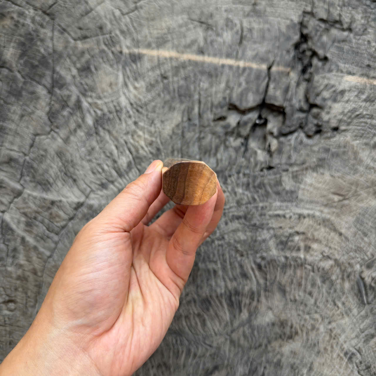 I -  3 Two tone Curly Hawaiian Koa, Clean Cream horn ferrule, 140mm
