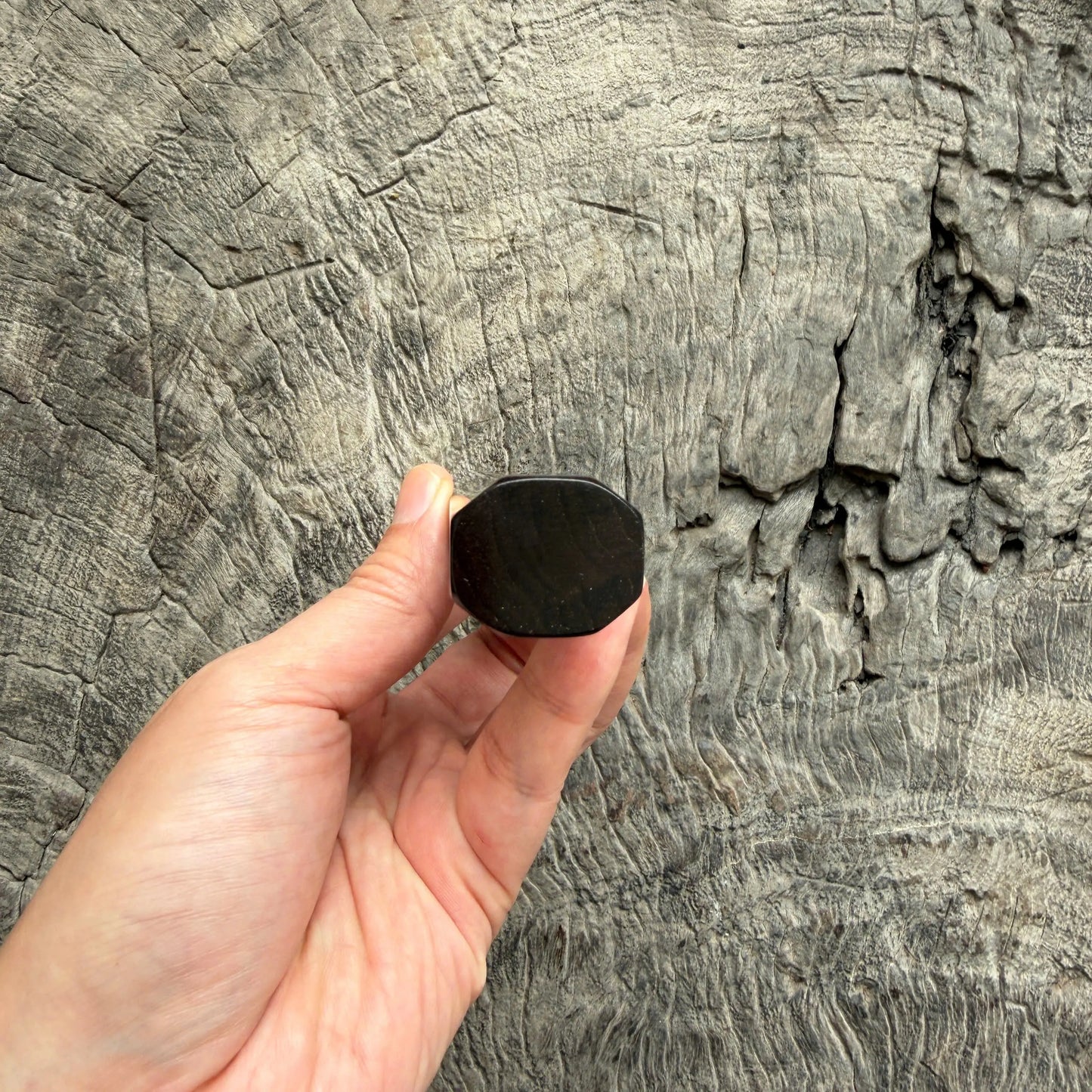 I - 5 Black African Wood Wa handle, Black Horn Ferrule- 145 mm