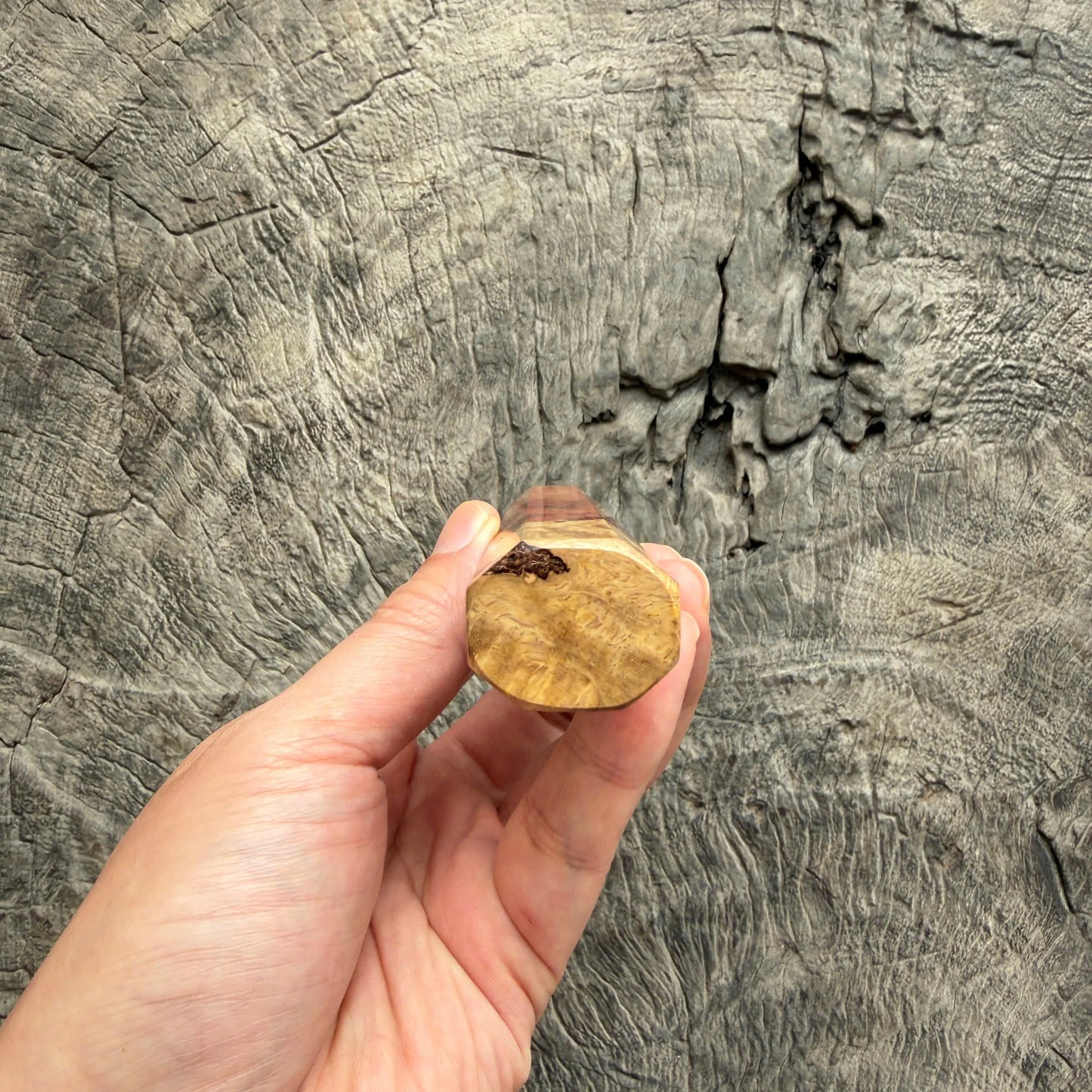 I - 8 Two tone Amboyna Burl Wood Wa handle, Mono- 145 mm