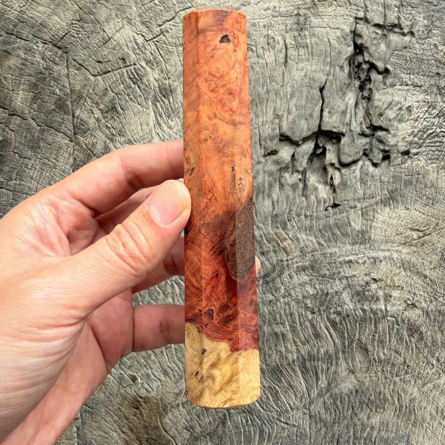I - 8 Two tone Amboyna Burl Wood Wa handle, Mono- 145 mm