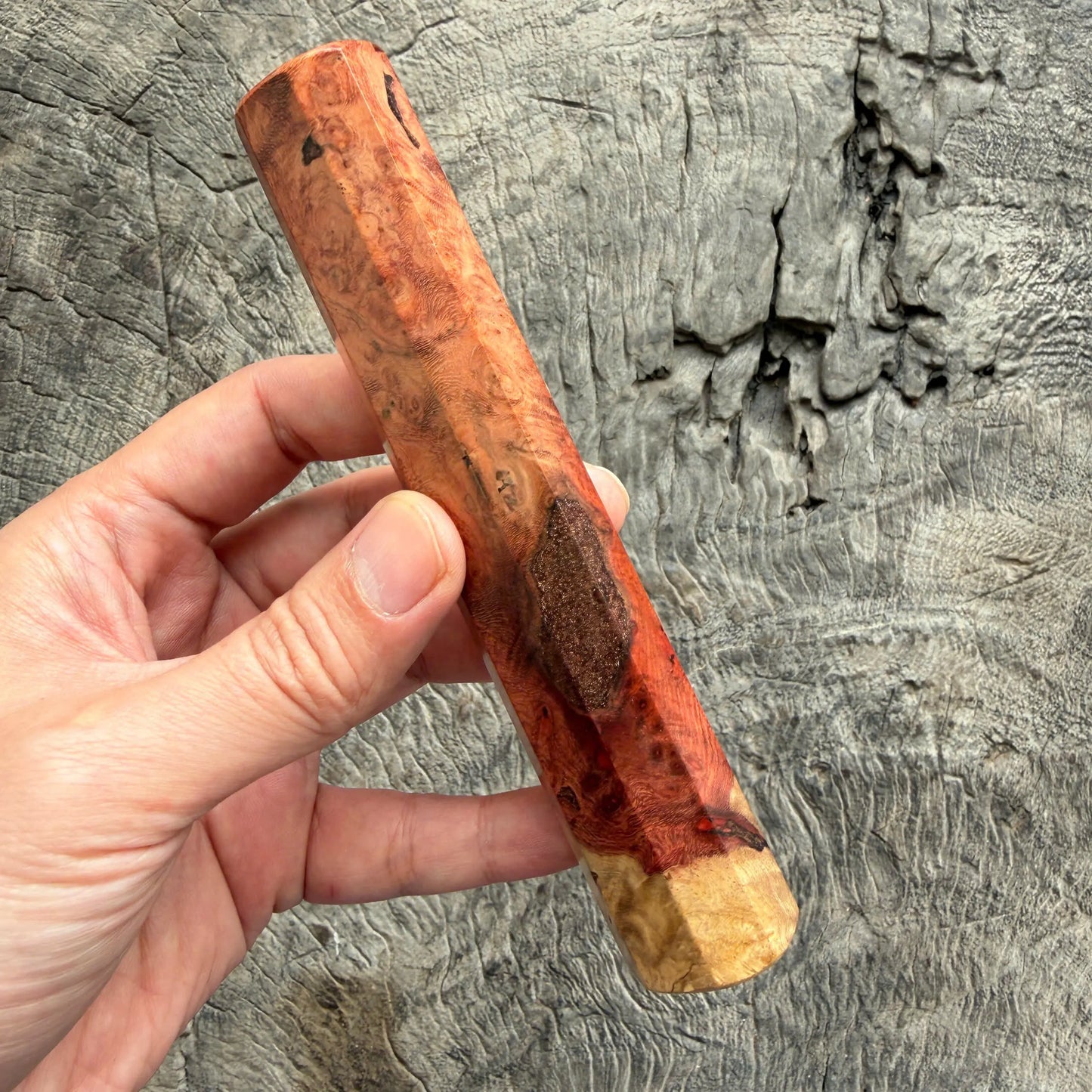 I - 8 Two tone Amboyna Burl Wood Wa handle, Mono- 145 mm