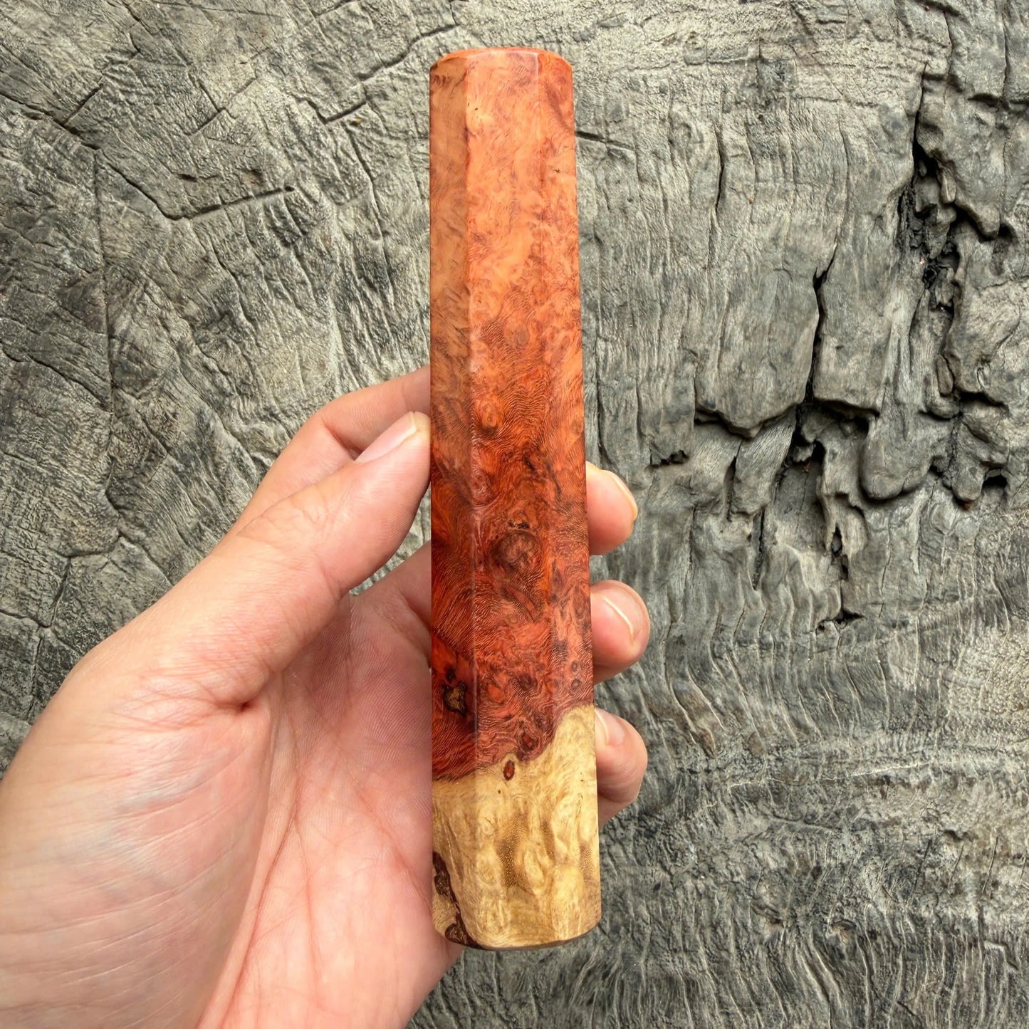I - 8 Two tone Amboyna Burl Wood Wa handle, Mono- 145 mm