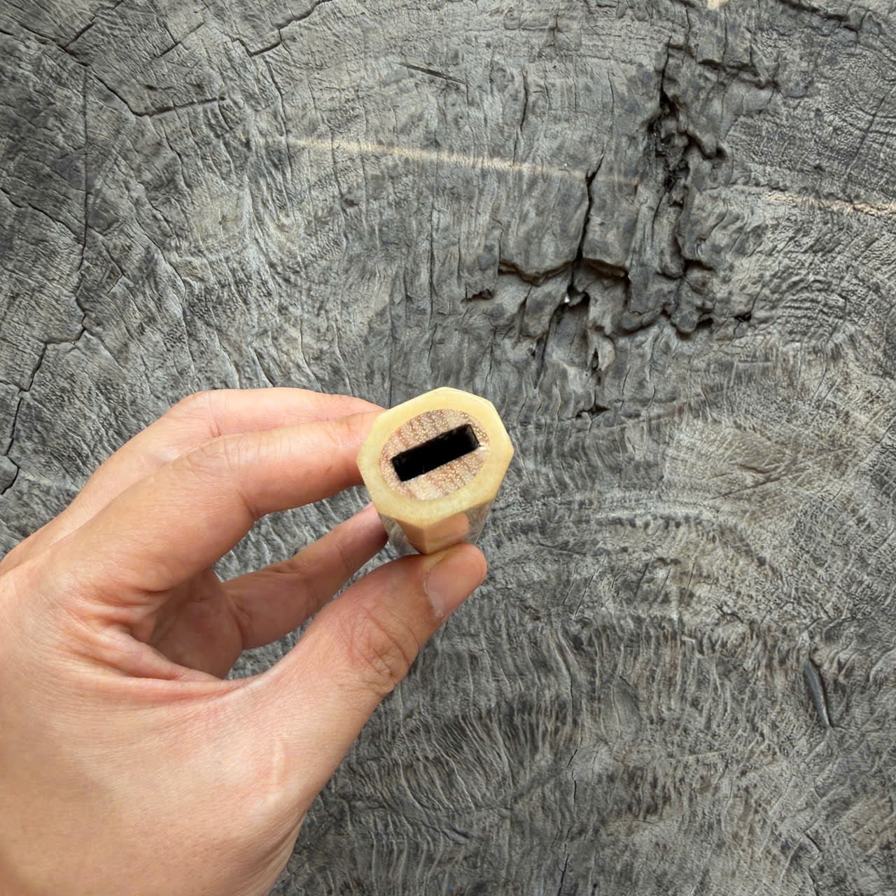 I -  3 Two tone Curly Hawaiian Koa, Clean Cream horn ferrule, 140mm