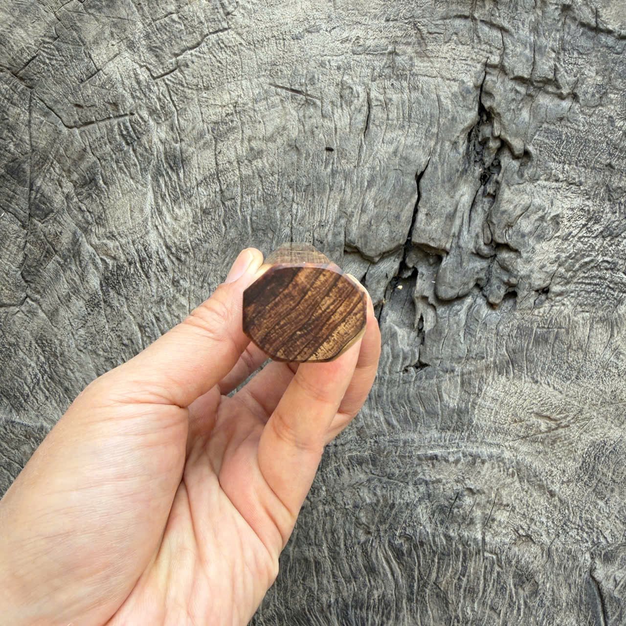 I- 15 Japanese Tamamoku Cedar (Rich oil) Wa handle, Marble Horn Ferrule - 135mm