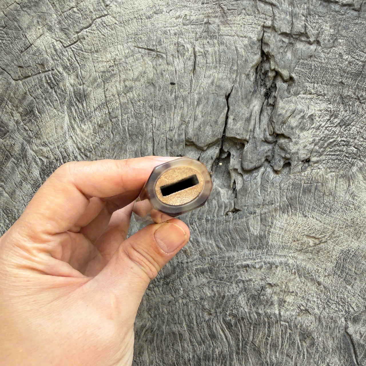 I- 8 Curly Crape myrtle Wa handle, Marble Horn Ferrule - 135mm