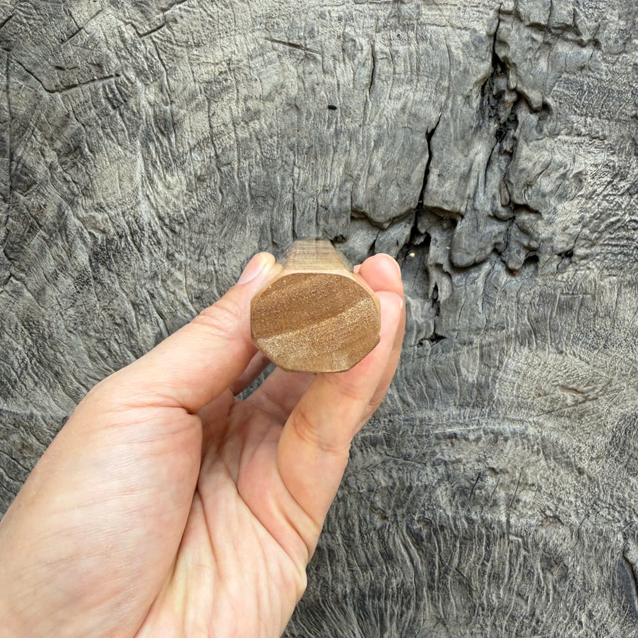 I- 8 Curly Crape myrtle Wa handle, Marble Horn Ferrule - 135mm