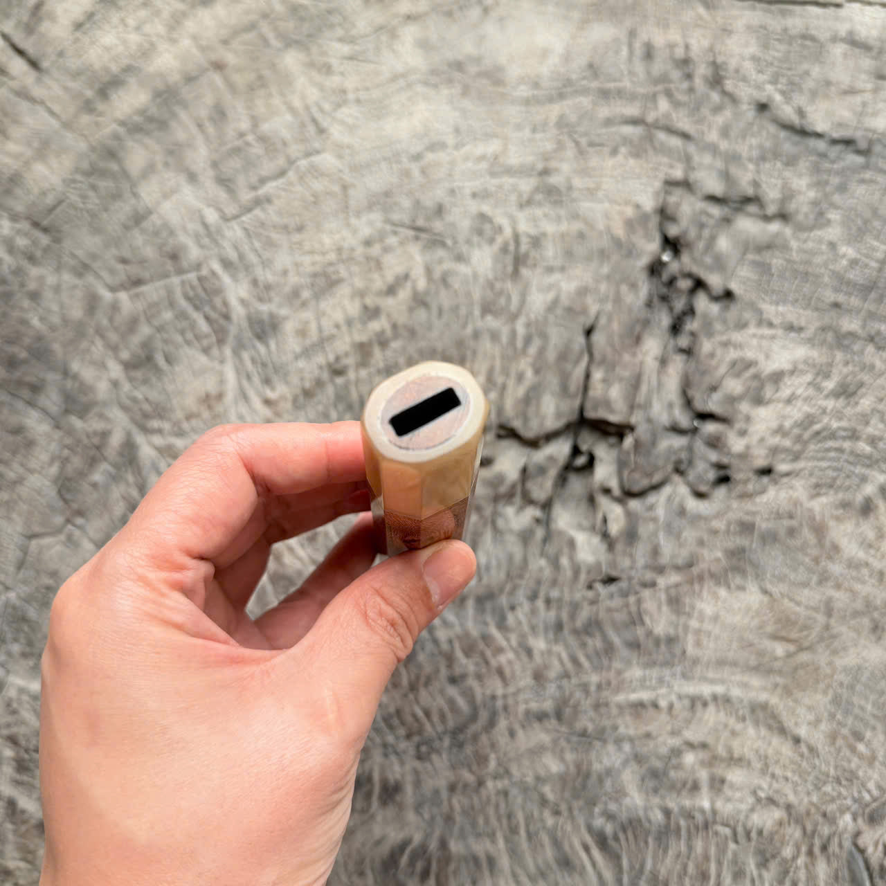 I - 6 Live Edge Laos Ironwood Burl - Pure White horn Ferrule- 140 mm