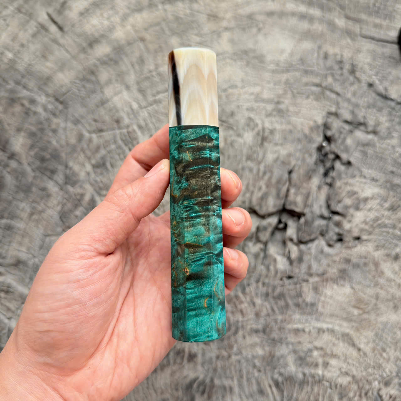 I - Blue Stabilzied Burl wood Wa handle, Cream horn Ferrule, 140mm handle