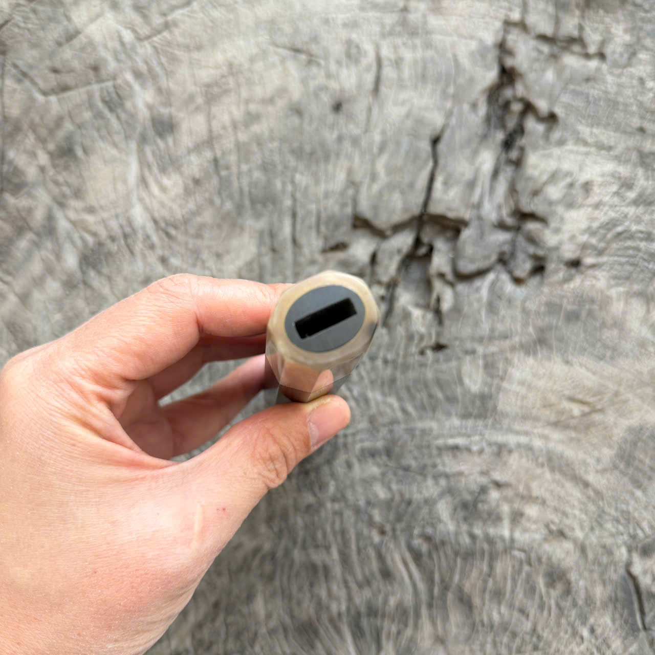 I - 30 Ebony Wa handle, Ivory Horn Ferrule - 145 mm