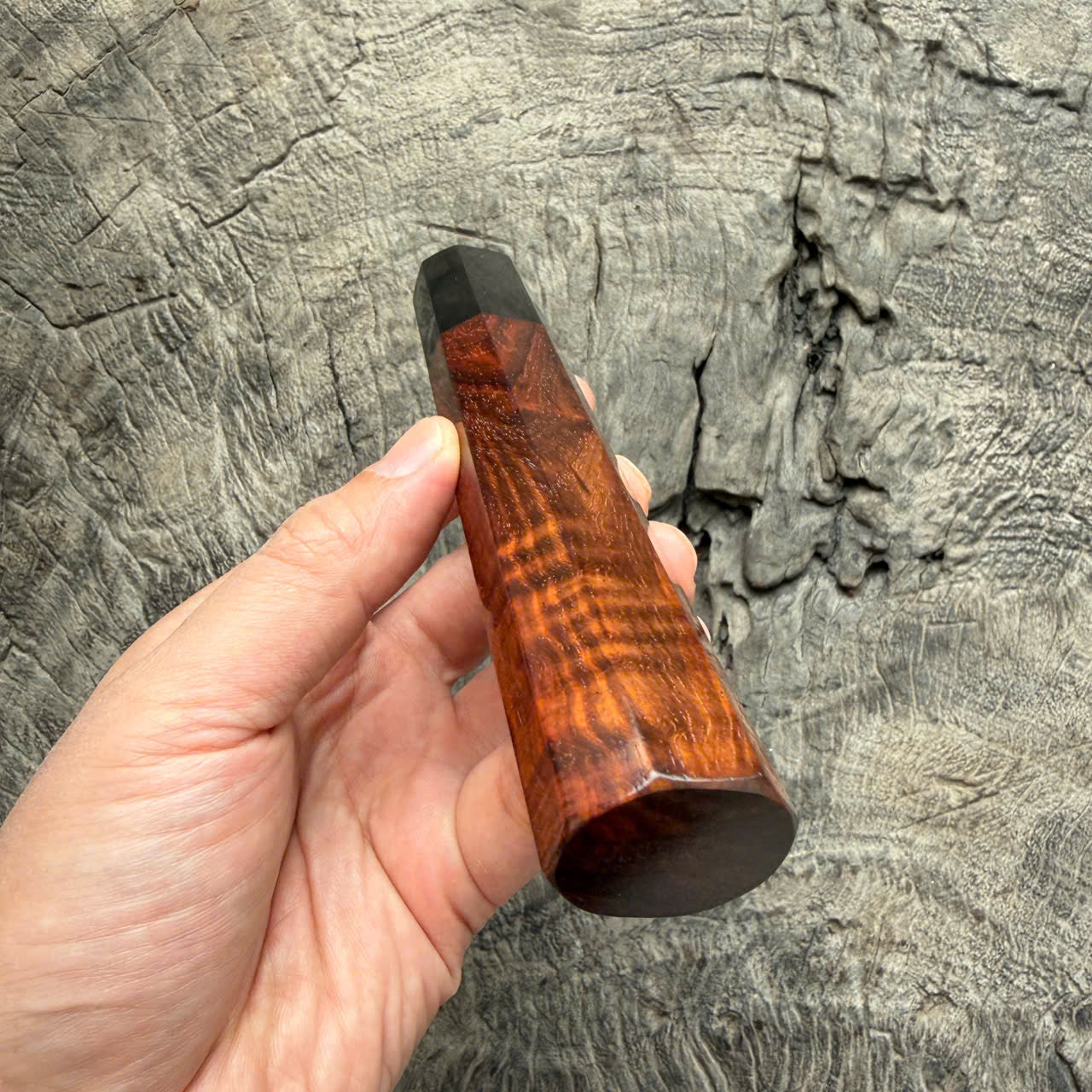 I - 29 Curly Siamese Rosewood Wa handle, Black Horn Ferrule- 145 mm