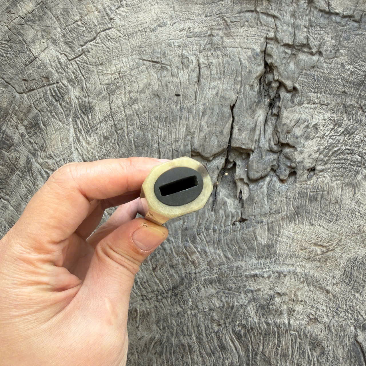 I- 25 Ebony Wa handle, Milk White Ferrule - 135mm