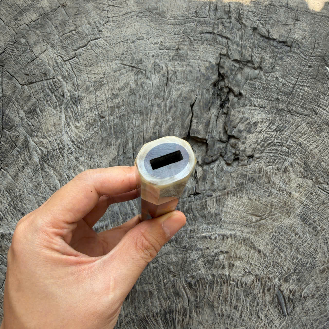 I - Super Dark Burl Desert ironwood Wa handle, Ivory horn ferrule, 145 mm handle