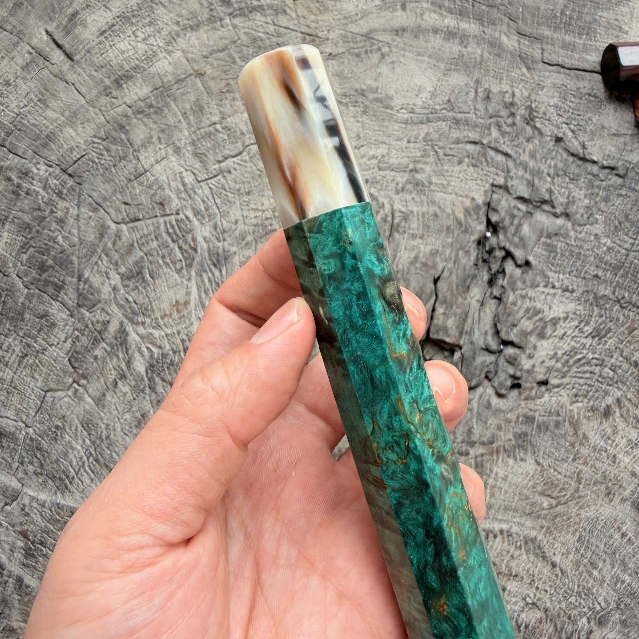 I - Blue Stabilzied Burl wood Wa handle, Cream horn Ferrule, 140mm handle