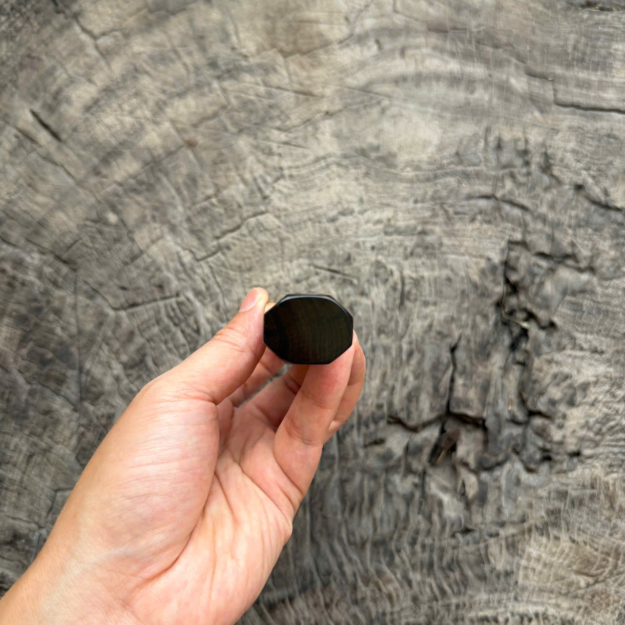 I - Clean Black Ebony with Elegant Grain , Black horn Ferrule , 140mm handle