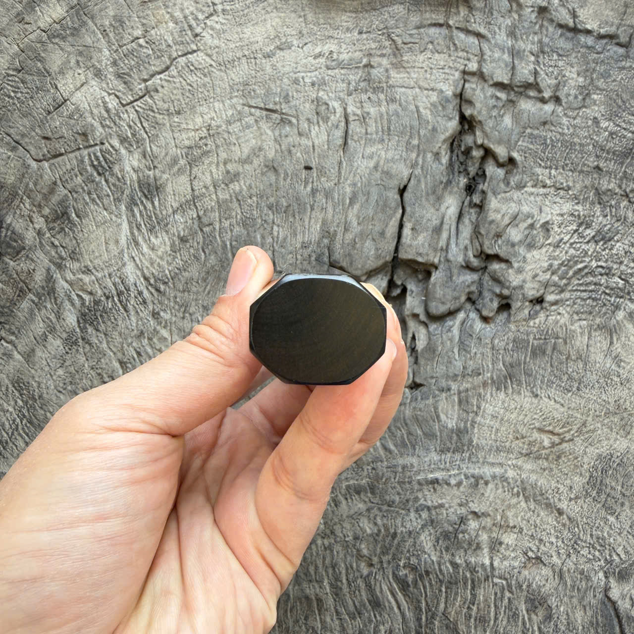 I- 29 Ebony Wa handle, Marble horn Ferrule - 135mm