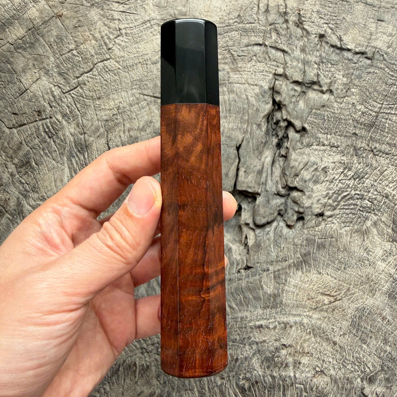 I - 29 Curly Siamese Rosewood Wa handle, Black Horn Ferrule- 145 mm