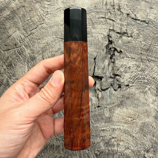 I - 29 Curly Siamese Rosewood Wa handle, Black Horn Ferrule- 145 mm