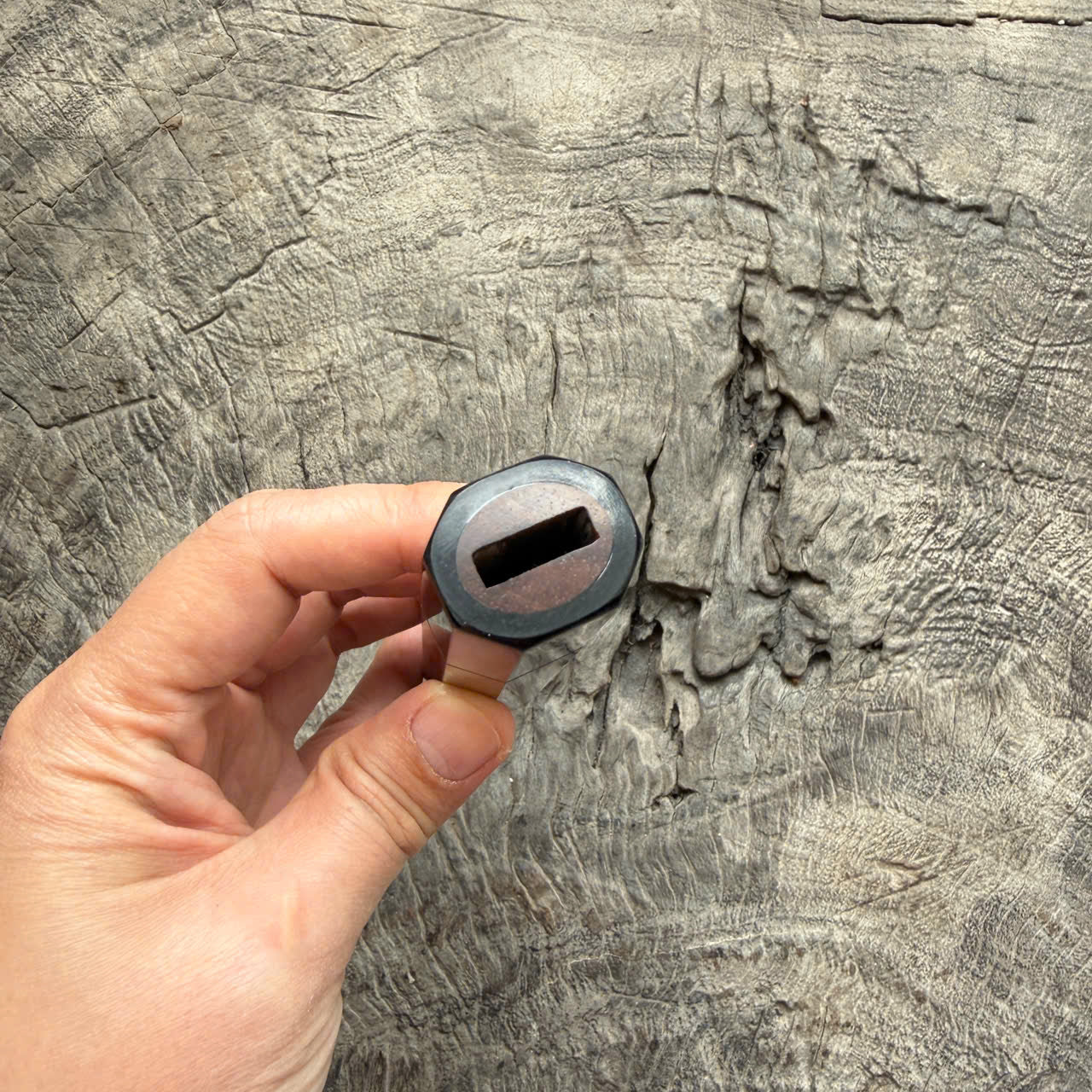 I - 29 Curly Siamese Rosewood Wa handle, Black Horn Ferrule- 145 mm