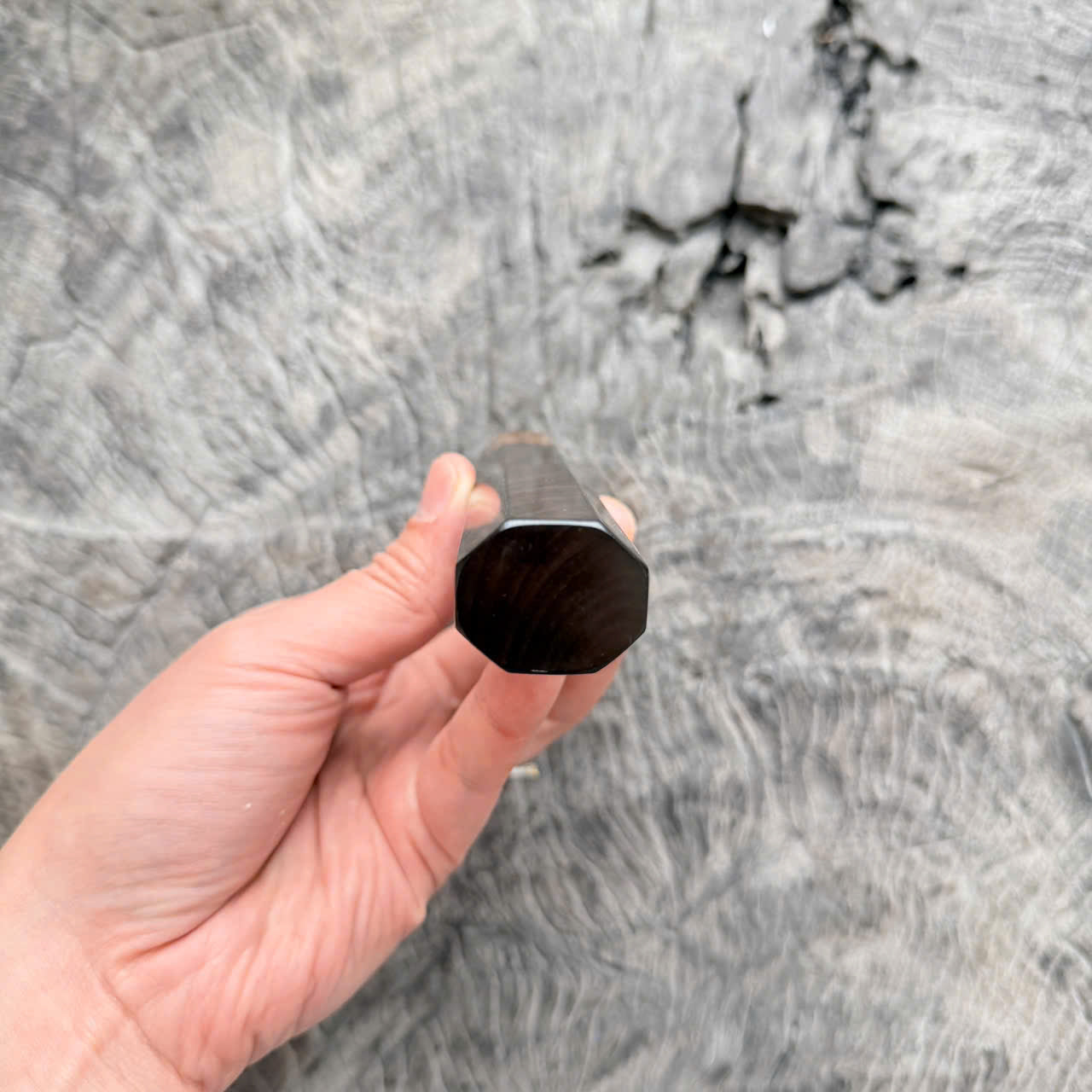 I - 8 Curly Dark Siamese Rosewood Wa handle, Marble horn ferrule,  145 mm handle