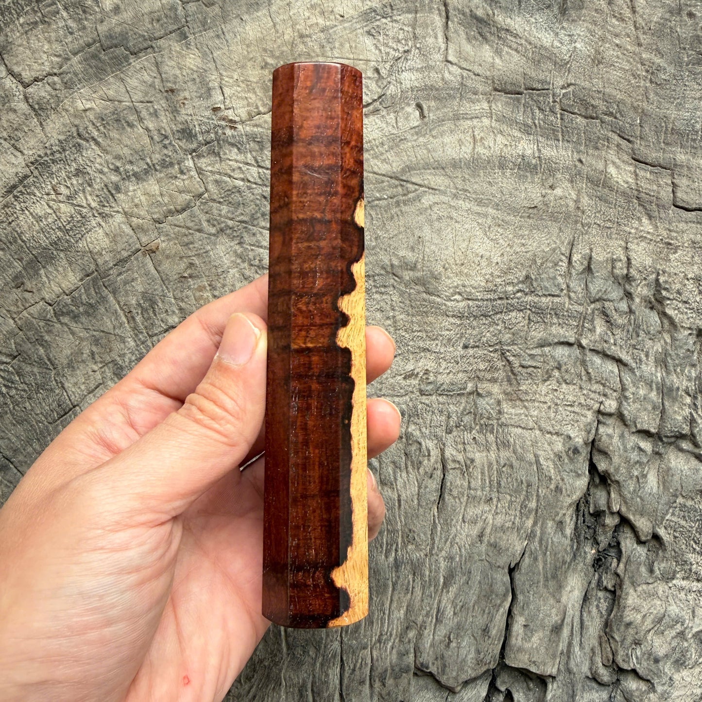I -  2 Two Tone Curly Siamese Rosewood Wa handle,Mono - 145 mm