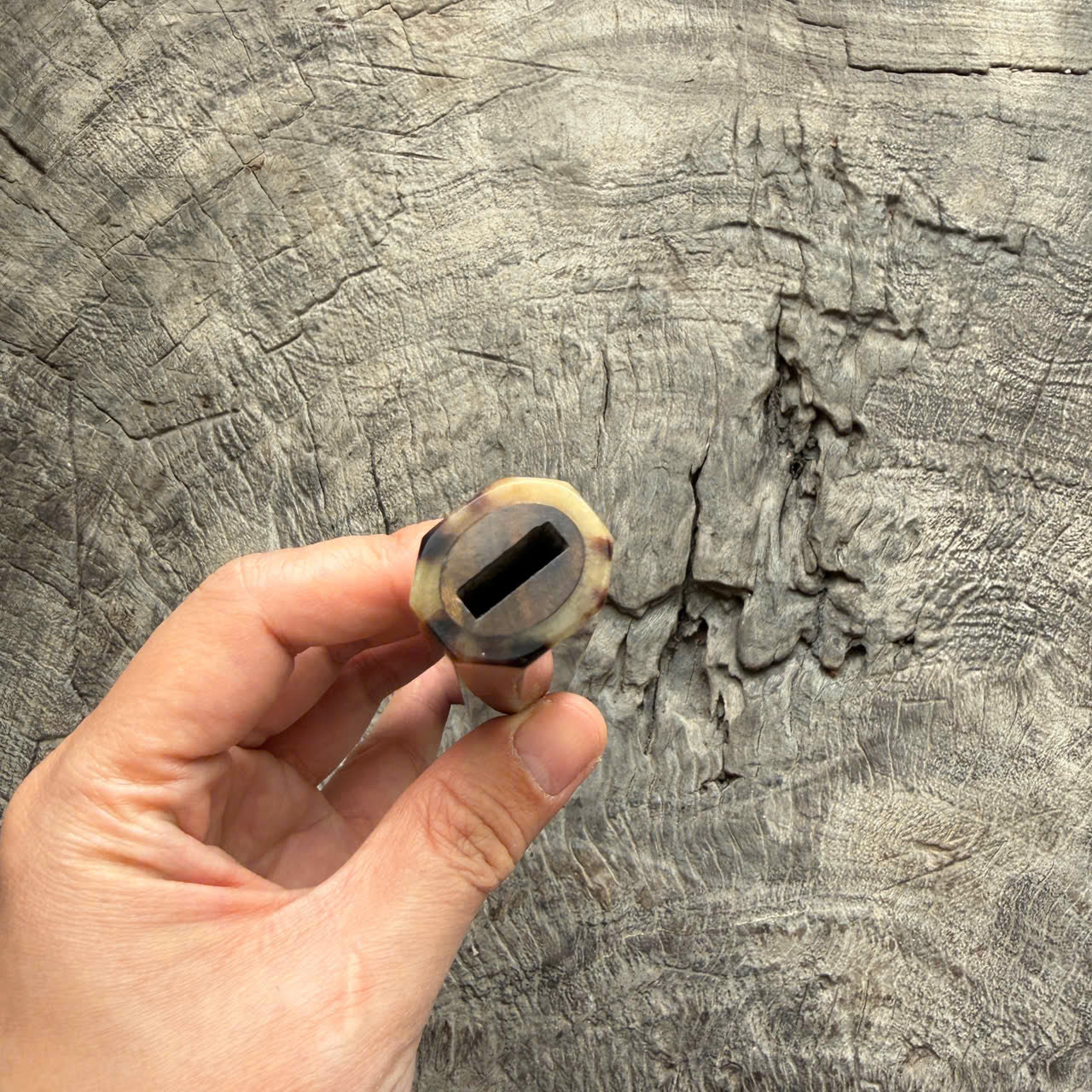 I - 22 Rare Curly Siamese Rosewood Wa handle, Marble Horn ferrule - 145 mm