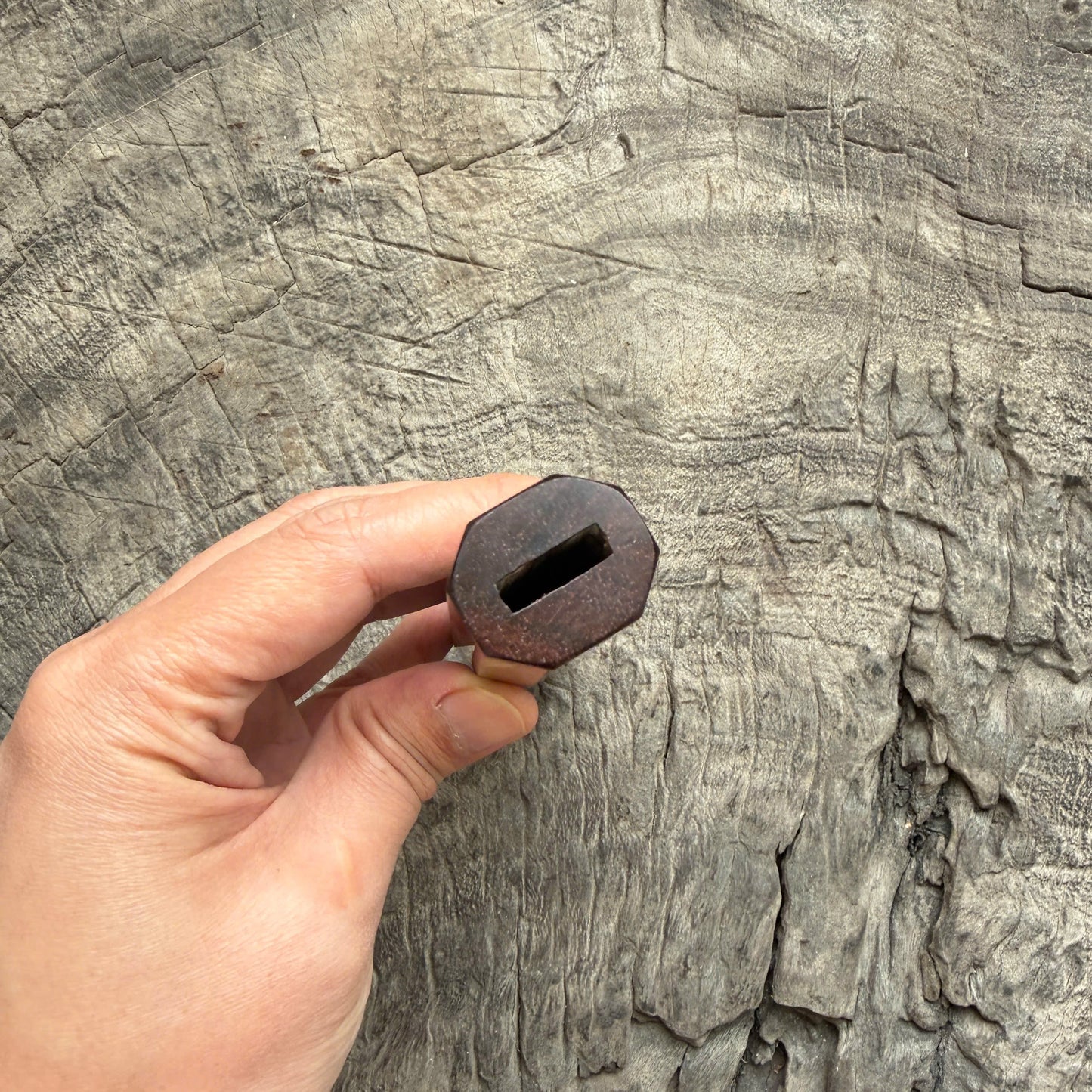 I -  2 Two Tone Curly Siamese Rosewood Wa handle,Mono - 145 mm