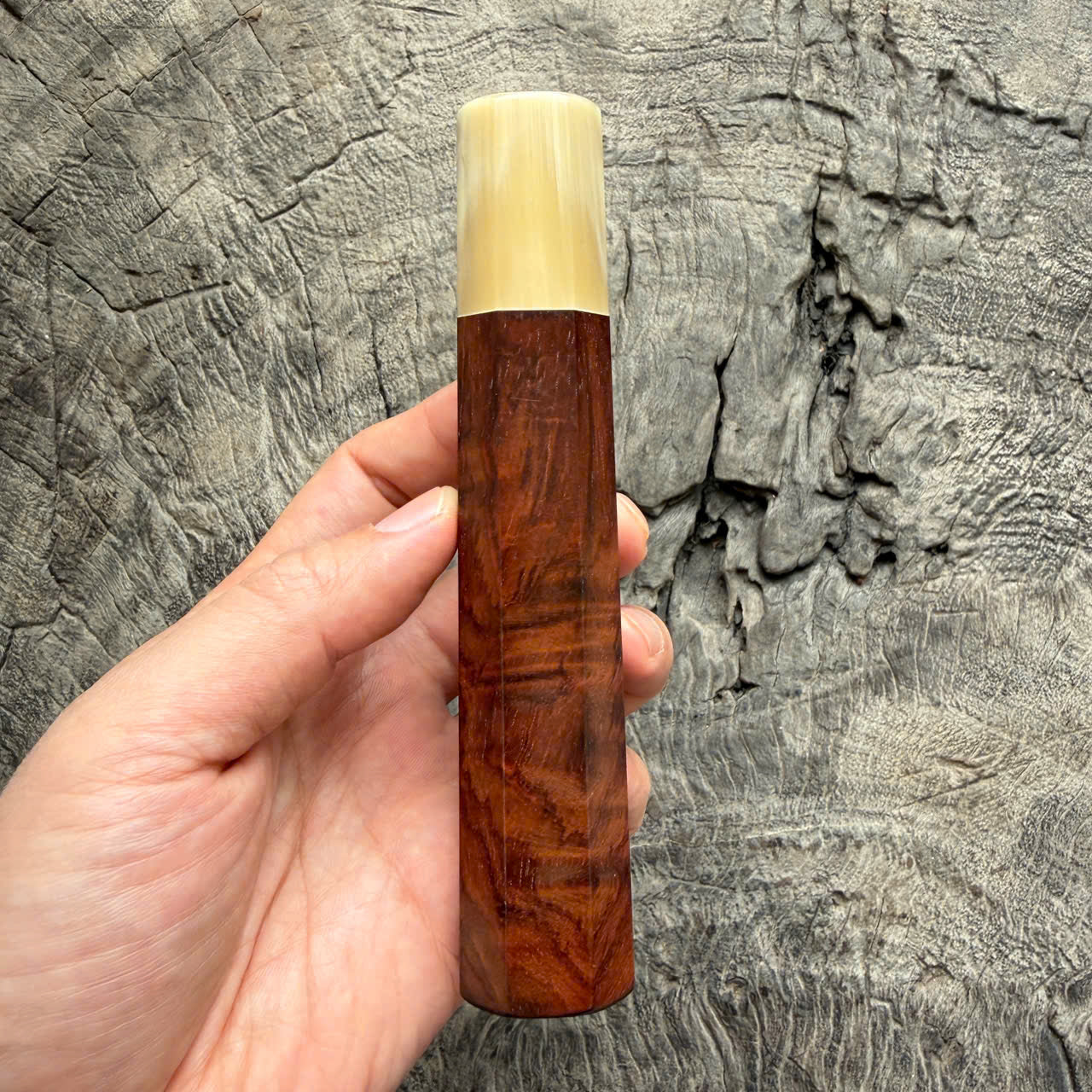 I - 20 Curly Siamese Rosewood Wa handle, Ivory Horn ferrule - 145 mm