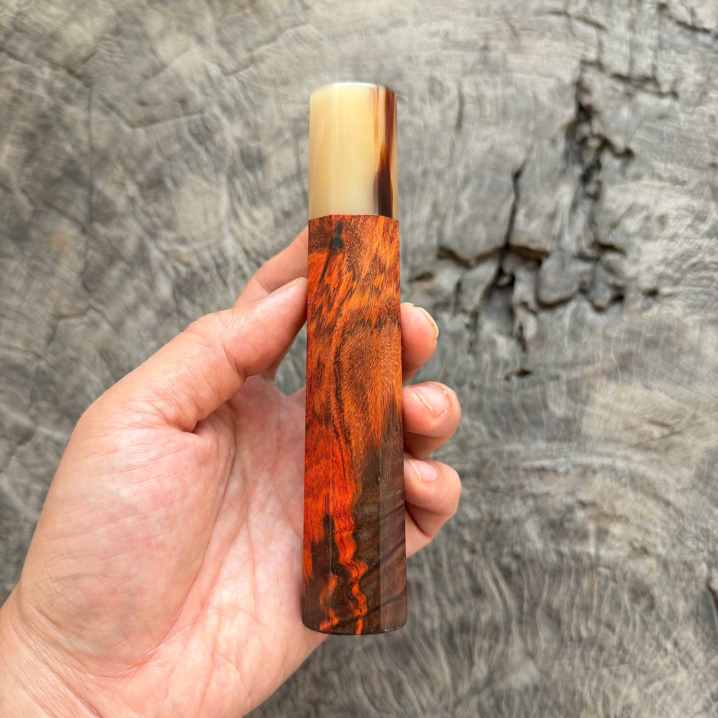 I - 31 Quilted Siamese Rosewood Wa handle, Marble Horn Ferrule - 145 mm