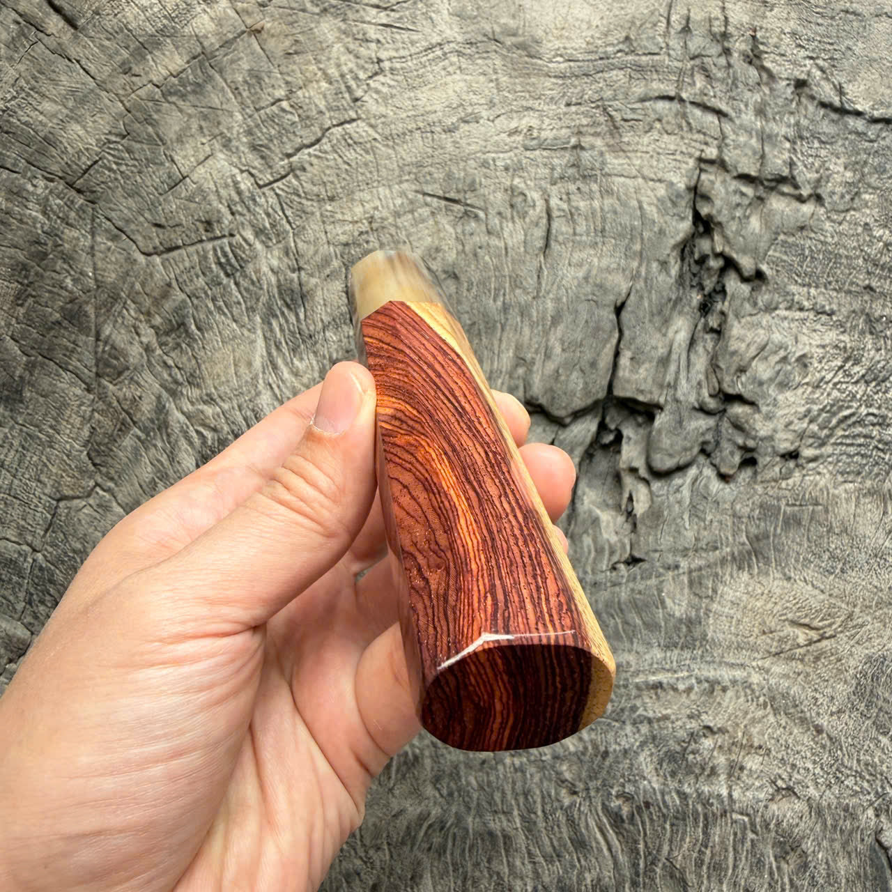 I -6 Two tone Rosewood Wa handle,  White horn Ferrule - 145 mm