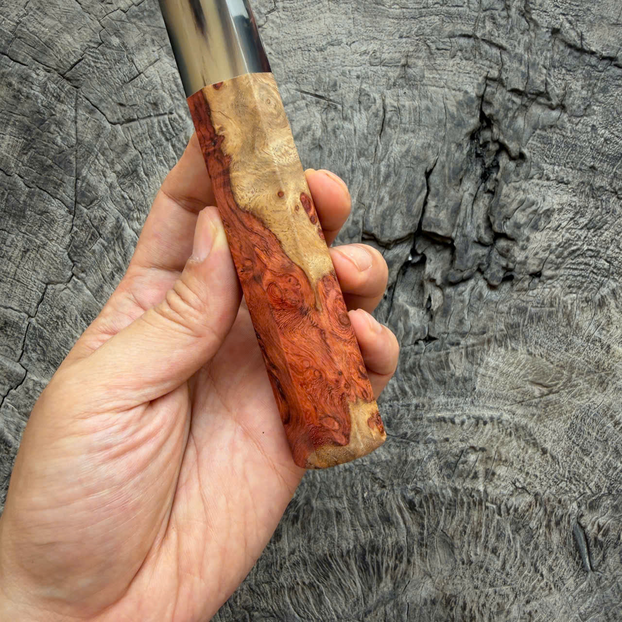 I - 8 Two tone Amboyna Burl Wa handle, Black White horn ferrule, 140mm handle