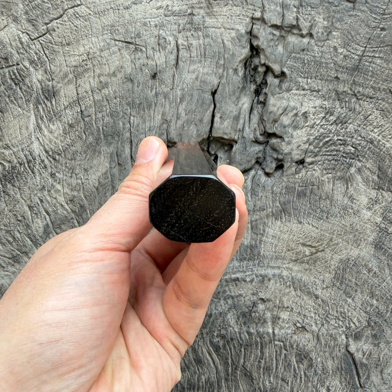 I- 2 Cool Curly Two Ton Siamese Rosewood Wa handle, Mono - 135mm