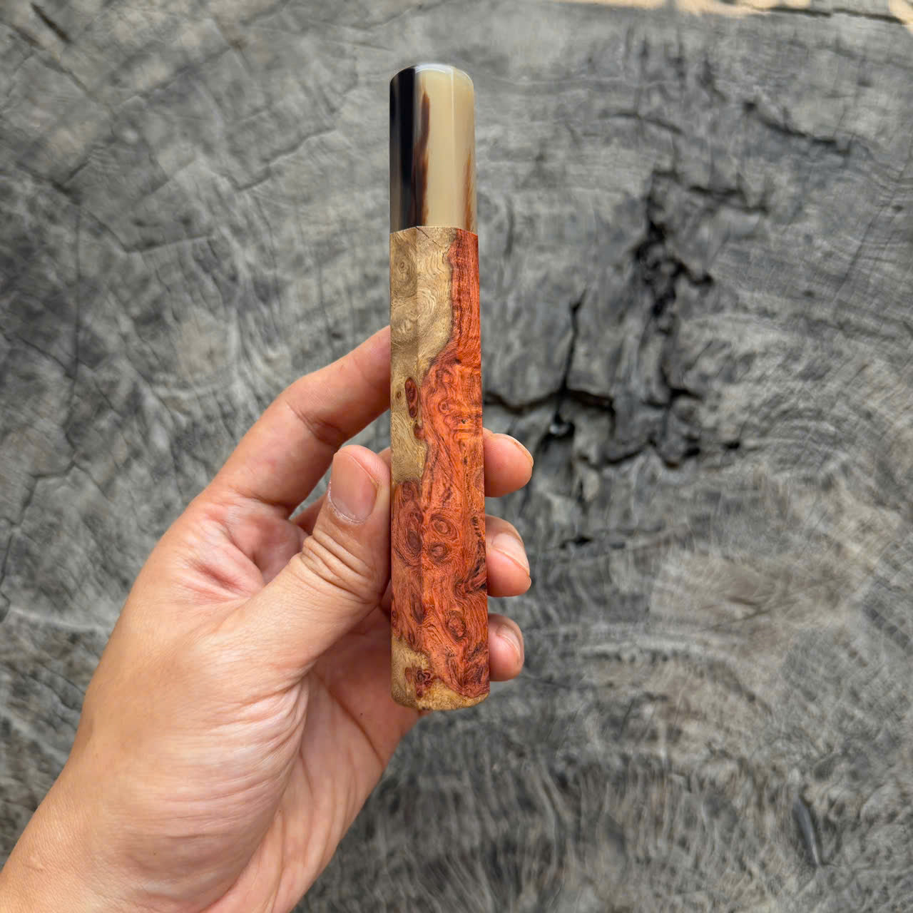 I - 8 Two tone Amboyna Burl Wa handle, Black White horn ferrule, 140mm handle
