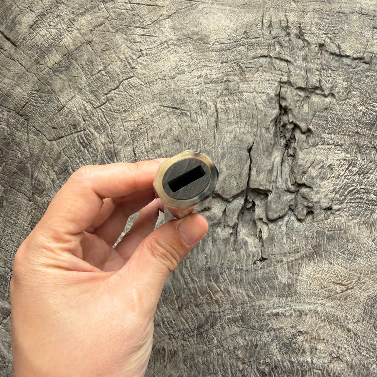 I - 5 Macassar EbonyWa handle, White Horn ferrule and end cap - 145 mm