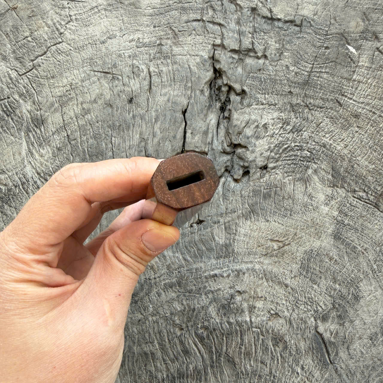 I- 2 Cool Curly Two Ton Siamese Rosewood Wa handle, Mono - 135mm