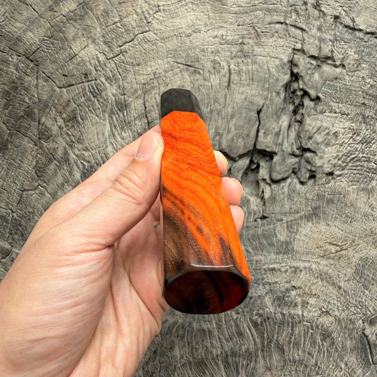 I - Orange Black Siamese Rosewood Wa handle,  Black horn ferrule - 145 mm