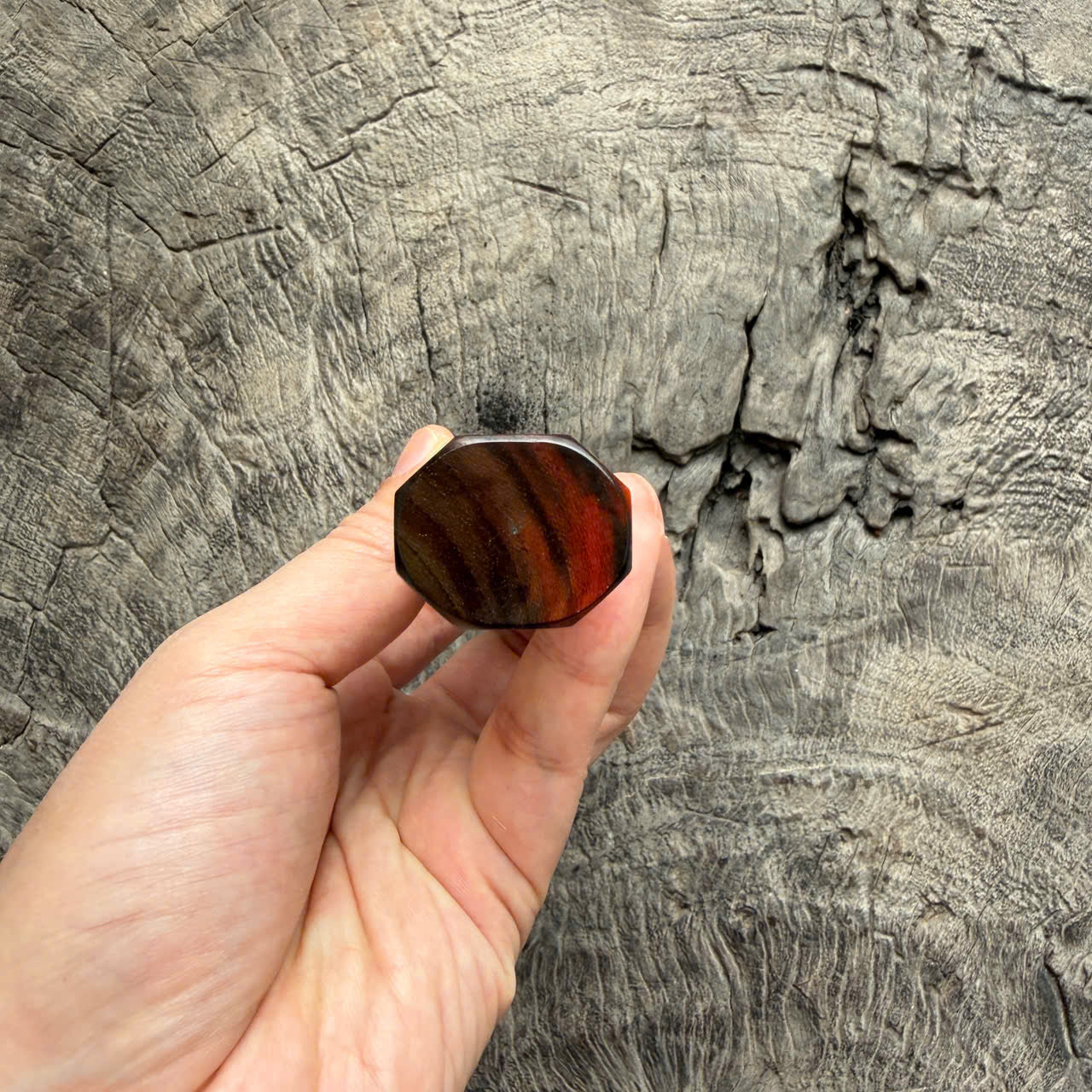 I - Orange Black Siamese Rosewood Wa handle,  Black horn ferrule - 145 mm