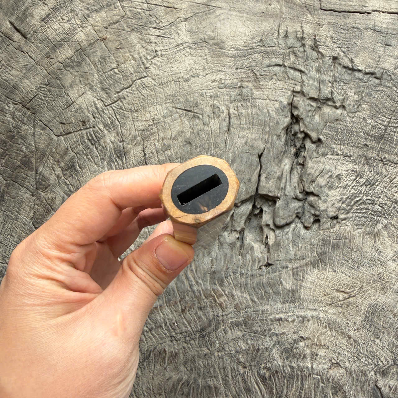 I - Rare Ebony Burl Wa handle, Nickel Spacer - 145 mm