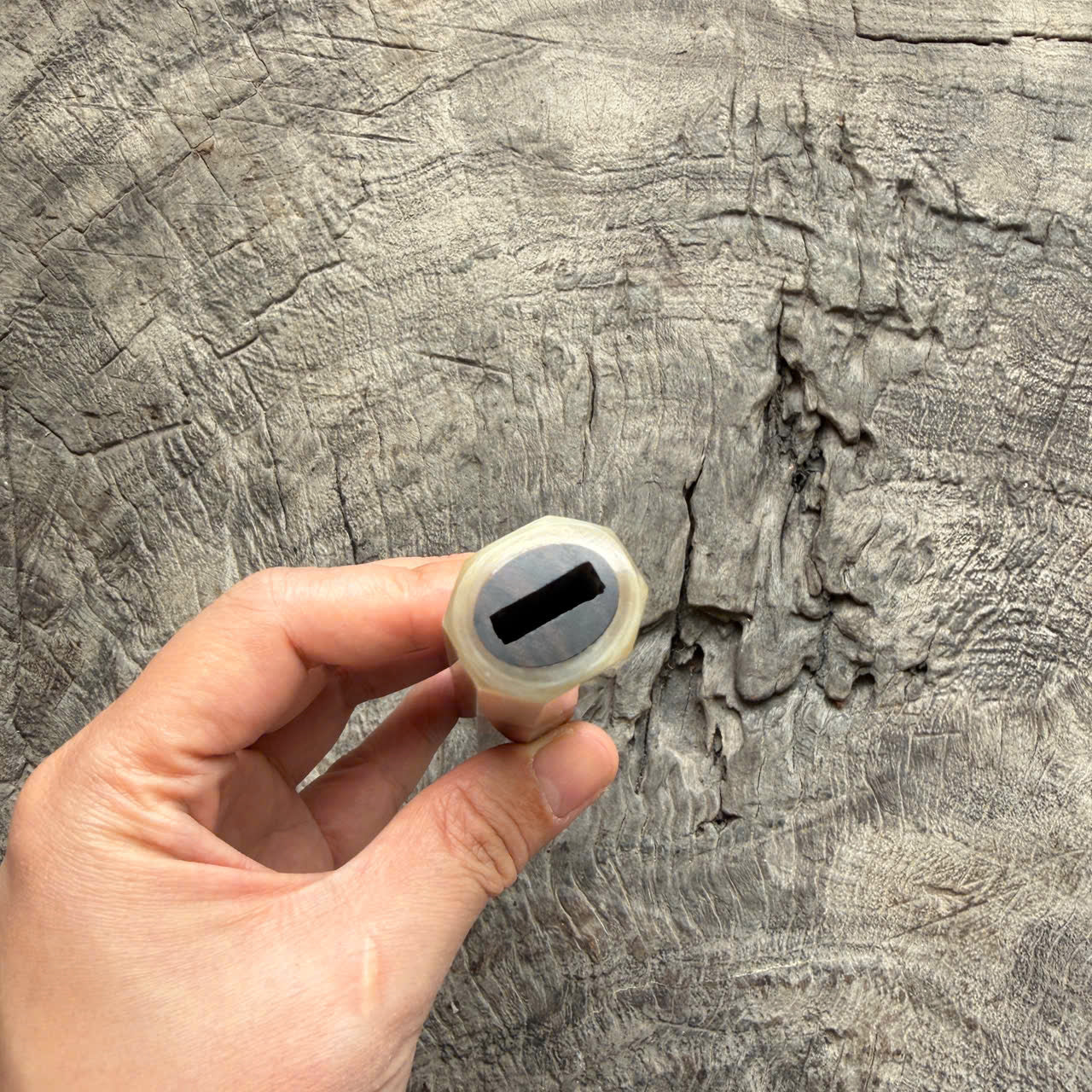 I - 10 Macassar ebony Wa handle, Cream Horn Ferrule- 145 mm