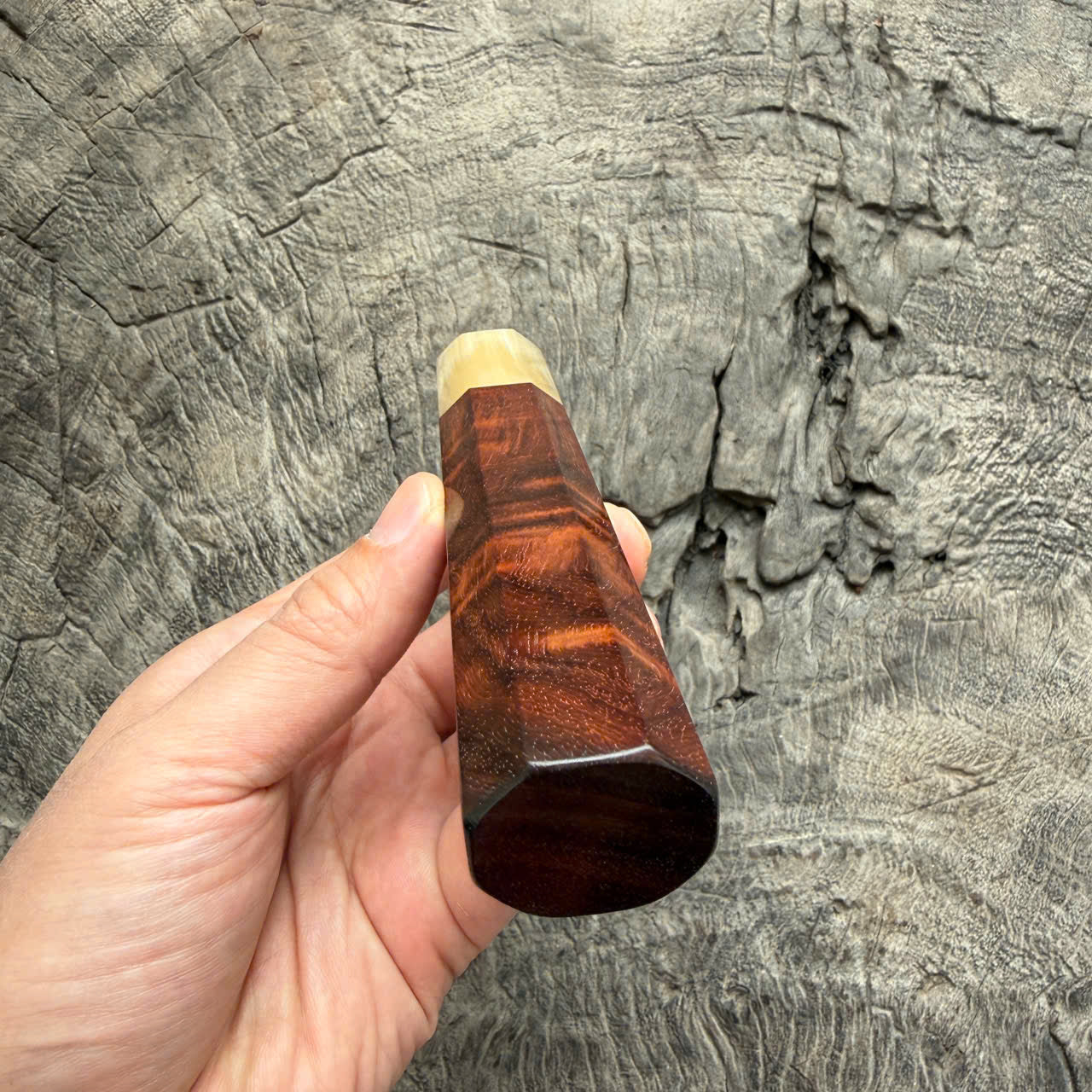 I - 20 Curly Siamese Rosewood Wa handle, Ivory Horn ferrule - 145 mm