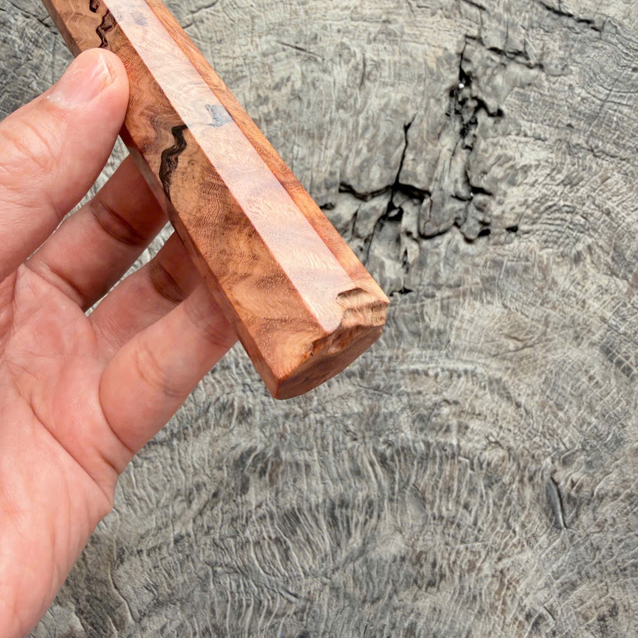 I- 5 Viet Ironwood Burl, Mono - 135mm