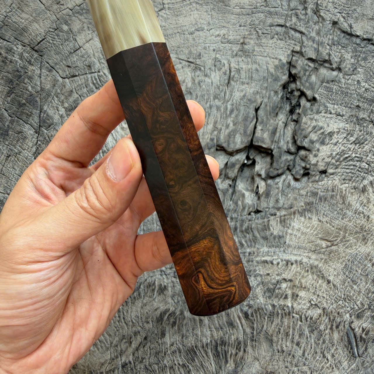 I - Super Dark Burl Desert ironwood Wa handle, Ivory horn ferrule, 145 mm handle