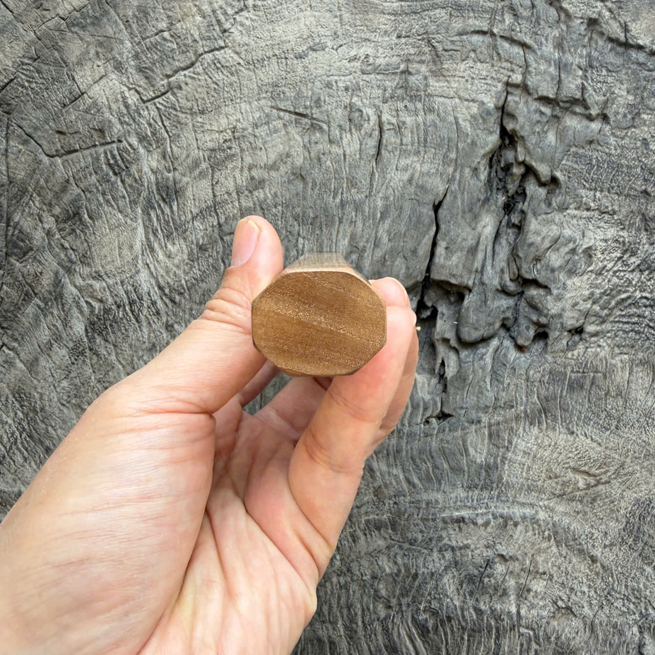 I - 4 Curly Crape myrtle Wa handle, Dark Marble Horn Ferrule - 140mm