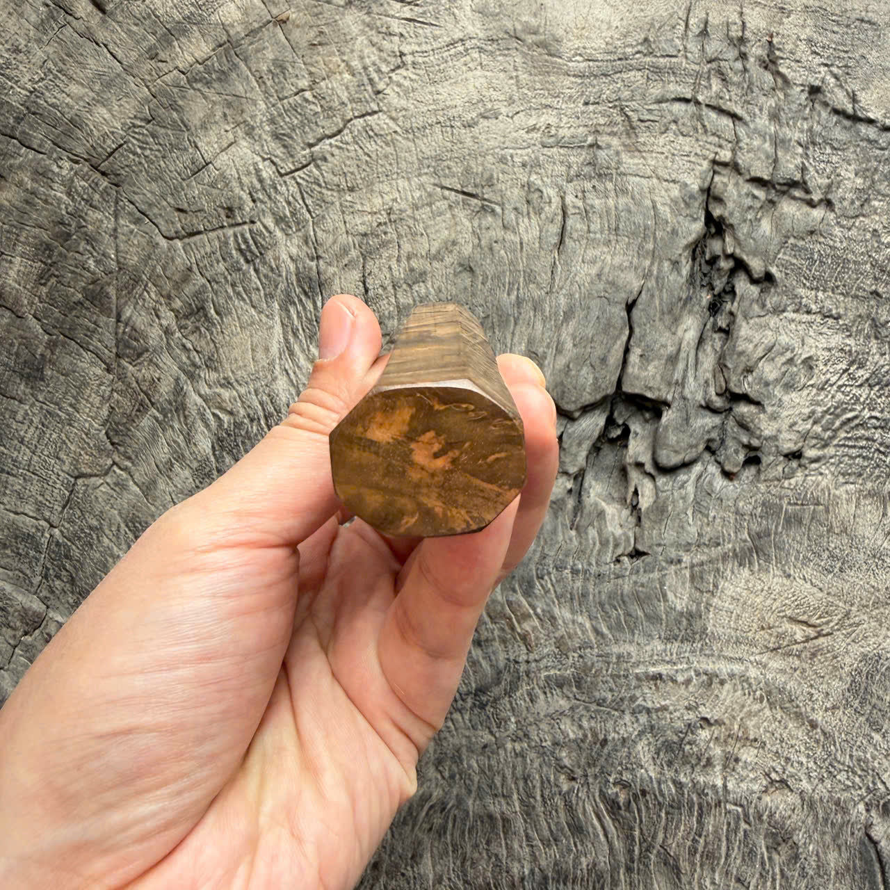 I - Rare Ebony Burl Wa handle, Nickel Spacer - 145 mm