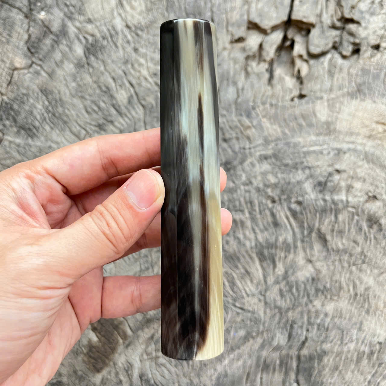 I- Full horn with rare color, Mono, 138 mm