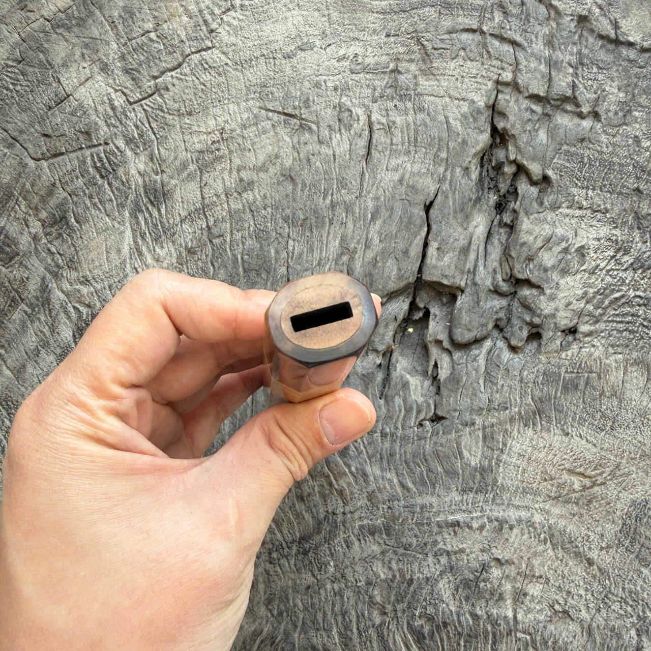 I - 4 Curly Crape myrtle Wa handle, Dark Marble Horn Ferrule - 140mm