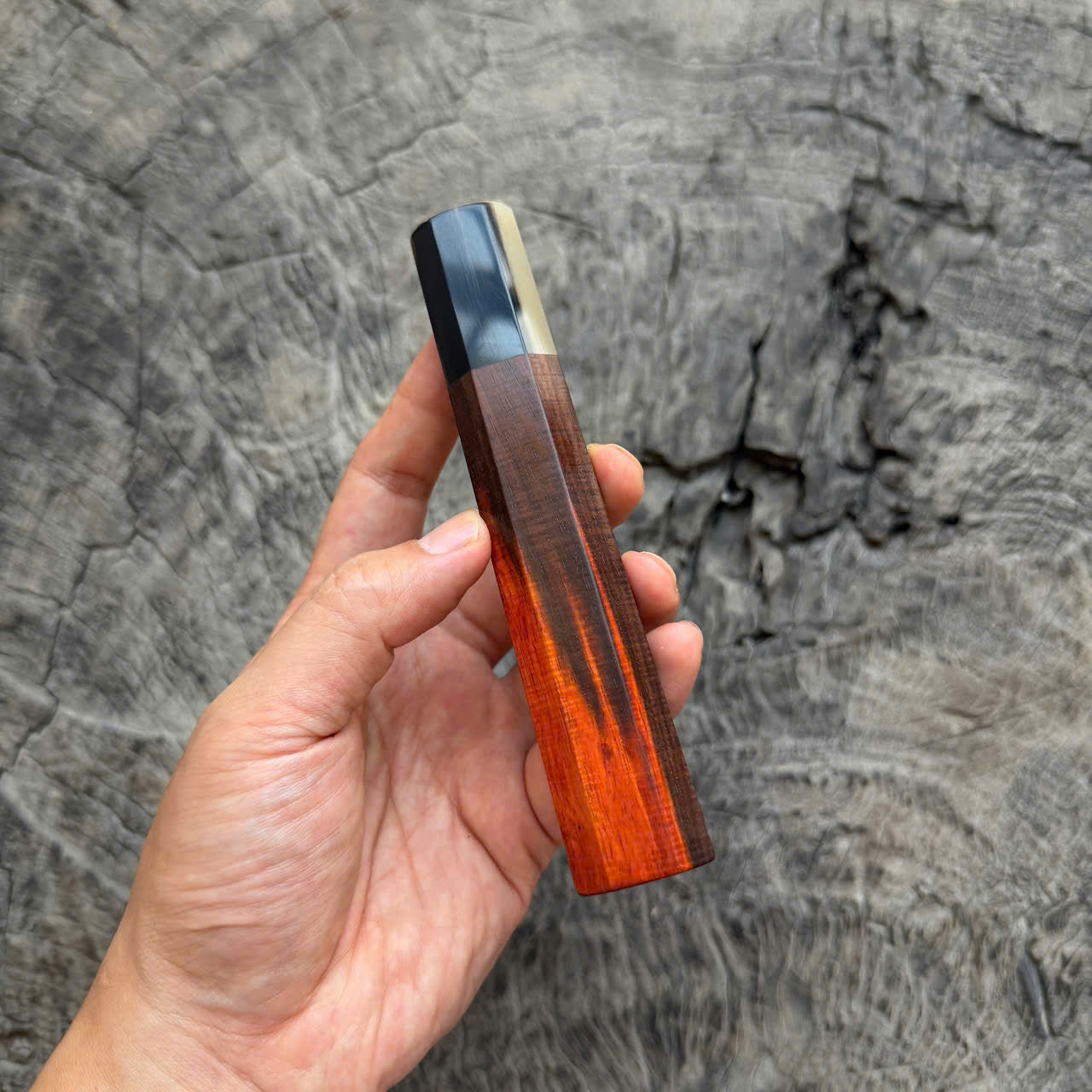 I - Rare Two tone Micro Curly Siamese Rosewood Wa handle, Two tone horn ferrule, 140mm handle