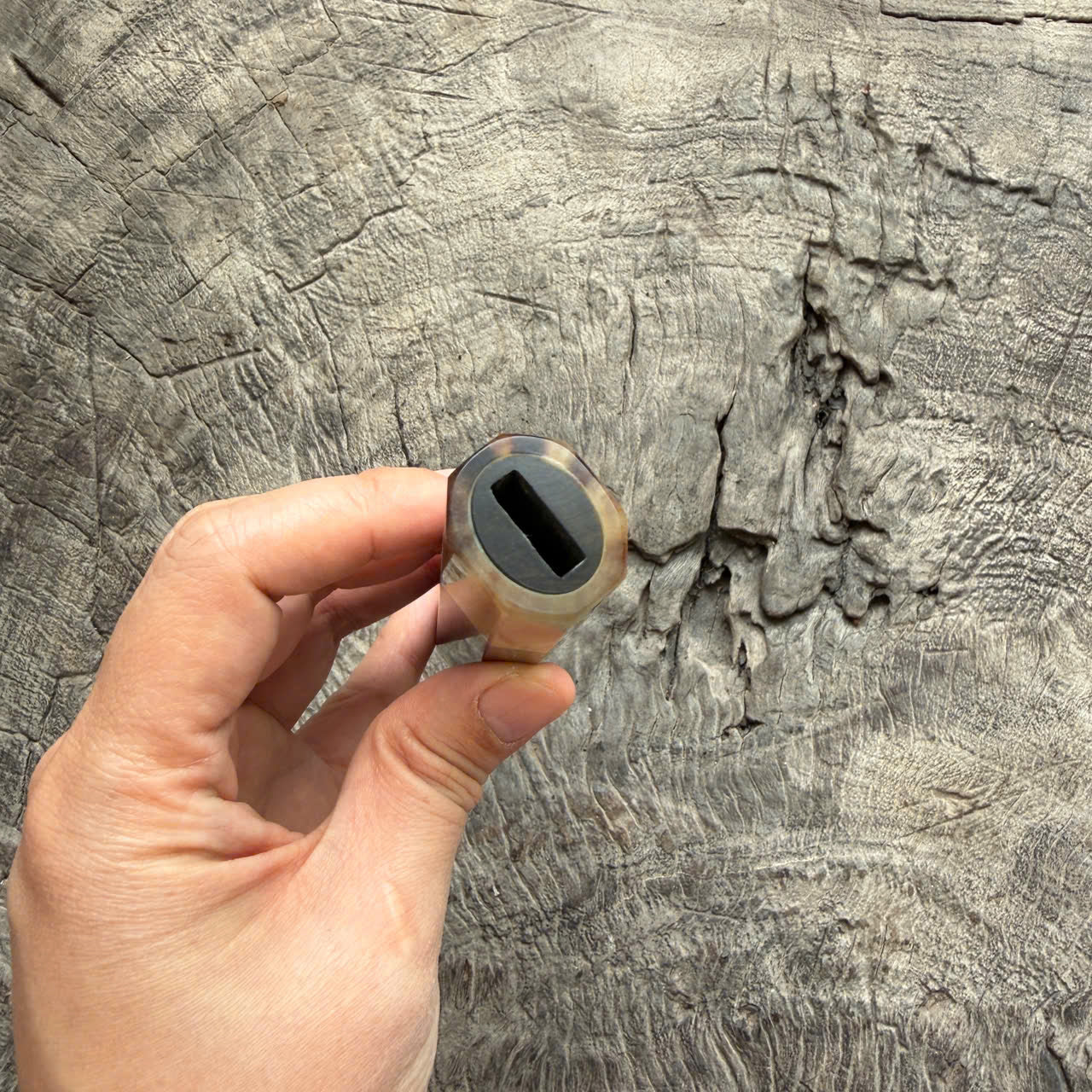 I - 10 Nice Ebony Wa handle, Marble horn ferrule - end cap- 145 mm